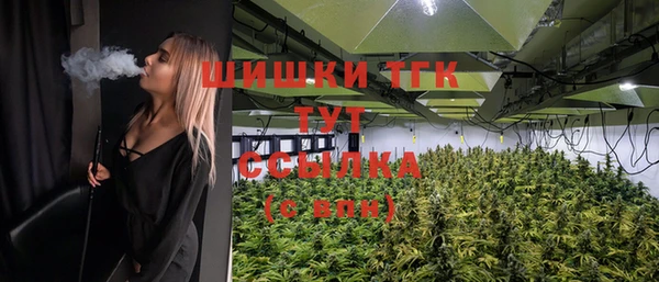 mdpv Лихославль